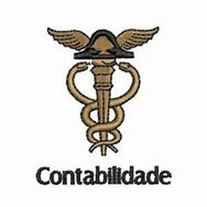 Imagem de capa para o Curso online Ciências contábeis básico