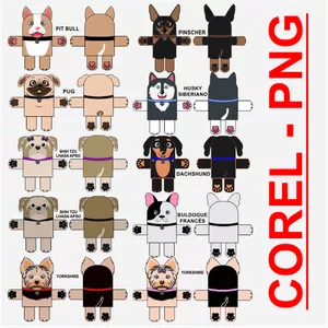 Curso CACHORRINHOS