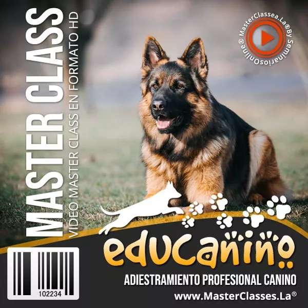 Educanino