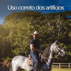 Imagem de capa para o Curso online Uso Correto dos Artifícios
