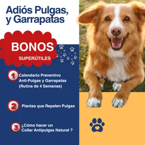 Imagen de portada para Ebook Adios Pulgas y Garrapatas