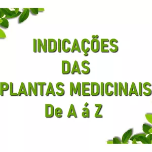 Imagem do curso Indicações sobre 380 Plantas Medicinais de A á Z
