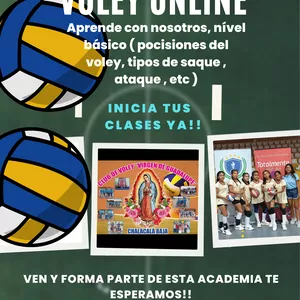 Imagen de portada para Curso online APRENDE Y CRECE EL EN VOLEYBOL 