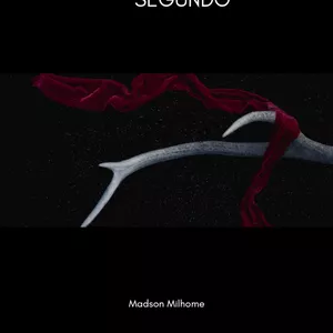 Imagem de capa para o Ebook O melhor livro dos últimos tempos