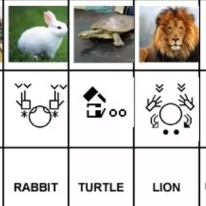 Cover image for Online service ANIMALS I - MEMORY GAME