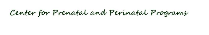 Prenatal and Perinatal Healing Online Learning Center logo