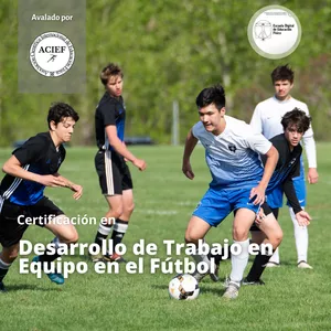 Imagen de portada para Curso online Desarrollo de Trabajo en Equipo en el Fútbol