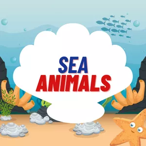 Imagem de capa para o Ebook Sea Animals - imagens reais