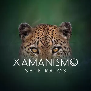 Imagem de capa para o Curso online Curso Online - Xamanismo Sete Raios