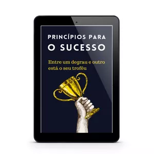 Imagem de capa para o Ebook Princípios Para o Sucesso