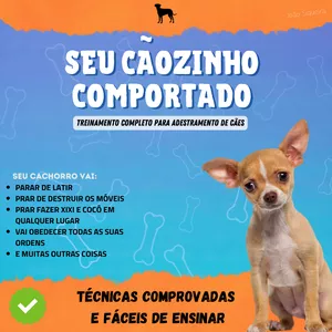 Imagem de capa para o Ebook Seu Cãozinho Comportado