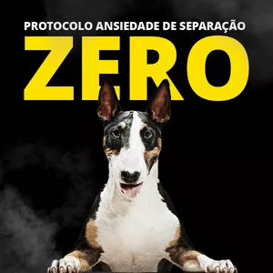 Curso PROTOCOLO ANSIEDADE DE SEPARAÇÃO ZERO