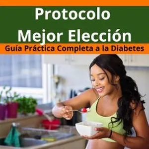 Imagen de portada para Ebook Protocolo de Mejor Elección