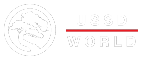 USSD World