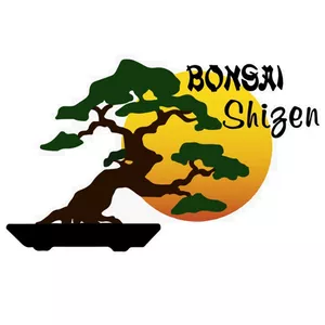Curso Curso de Bonsai + Consultoria Mensal - Bonsai Shizen