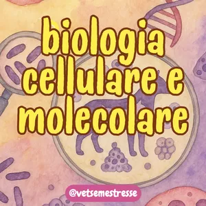 Cover image for Ebook Biologia Cellulare in Sintesi: Il Tuo Compagno di Studio