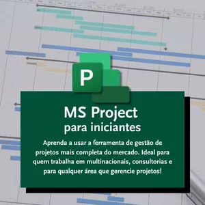 Imagem de capa para o Curso online MS Project de Sucesso