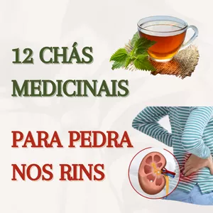 Imagem de capa para o Ebook 12 CHÁS MEDICINAIS PARA PEDRA NOS RINS