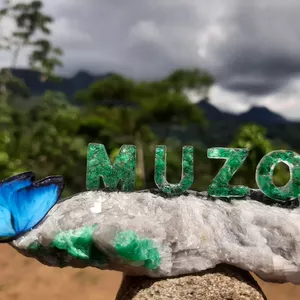 Imagen de portada para Curso online Emerald muzo