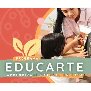 Imagen de portada para Curso online Programa Educarte - Edad 1 a 2 años