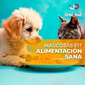 Imagen de portada para Curso online MASCOTAS FIT: Alimentación Sana