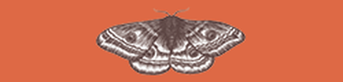 Katherine May logo