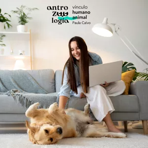 Imagen de portada para Curso online Impulsa tu Negocio Multiespecie