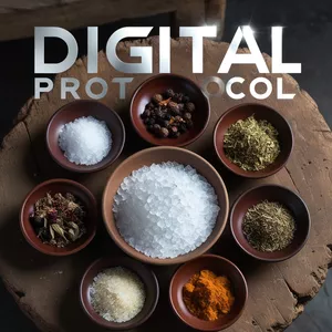 Cover image for Ebook Digital Protocol 100% Home Made