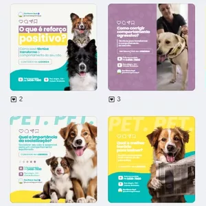 Imagem de capa para o Curso online Pack Adestramento de Cães