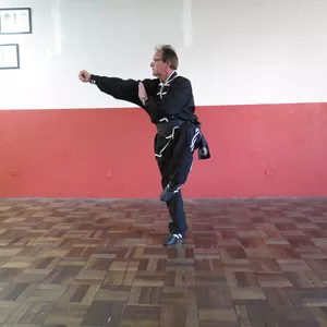 Imagem de capa para o Curso online 15 - Curso Kung Fu - Tan Tui - 10 Rotinas - Linhas/Estradas 