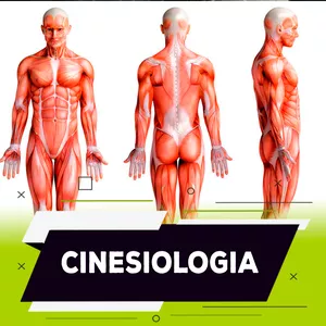 Imagem de capa para o Curso online Cinesiologia Humana