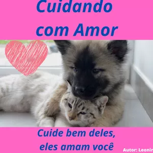 Imagem de capa para o Ebook Cuidando com Amor