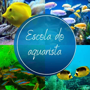 Imagem de Escola do Aquarista criado por Porto Pet  na hotmart