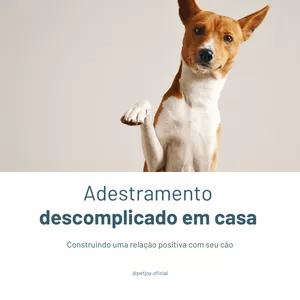 Imagem de capa para o Ebook Adestramento descomplicado em casa: Construindo uma relação positiva com seu cão