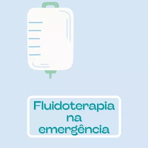 Imagem de capa para o Ebook Fluidoterapia na emergência