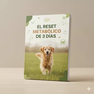 Imagen de portada para Ebook El Reset Metabólico de 3 Días