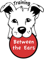 TBTE Training Between The Ears logo