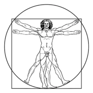 Imagen de portada para Curso online Taller teorico-práctico de Nutrición aplicada la perdida de grasa corporal
