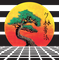United Studio's of Self Defense 