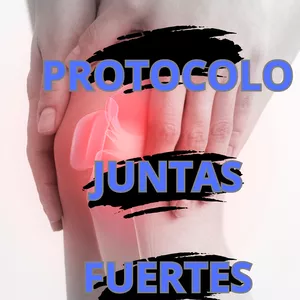 Imagen de portada para Ebook Protocolo Juntas Fuertes