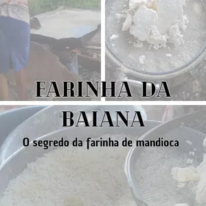 Imagem de capa para o Ebook Farinha da baiana 