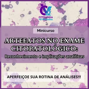 Imagem do curso Artefatos no exame citopatológico:  reconhecimento e implicações analíticas
