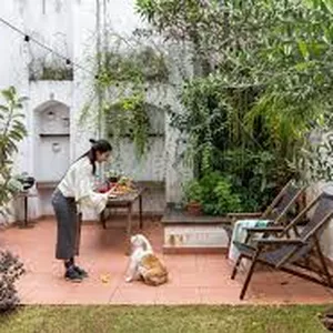 Imagem de capa para o Ebook Manual da Jardinagem Urbana