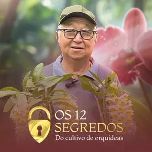 Imagem de capa para o Curso online Os 12 Segredos do Cultivo de Orquídeas