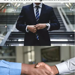 Imagem de capa para o Ebook Como se tornar um CONSULTOR DE PROCESSOS ORGANIZACIONAIS