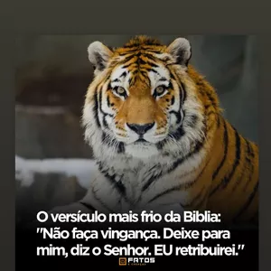 Imagem de capa para o Ebook Livros em PDF preço justo 