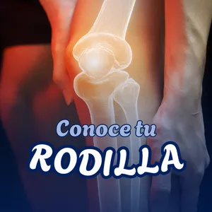 Imagen de portada para Curso online Conoce tu Rodilla