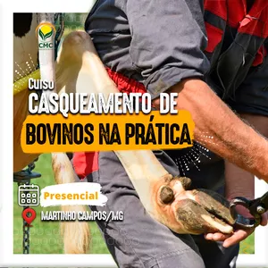Imagem de capa para o Curso online Casqueamento de Bovinos