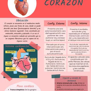 Imagen de portada para Ebook Flashcards esplacnologia
