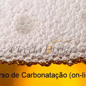 Imagem do curso Carbonatação Forçada e Refermentação de Cervejas